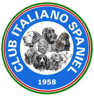 Club Italiano Spaniel
